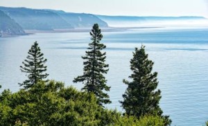 Fundy Trail Parkway